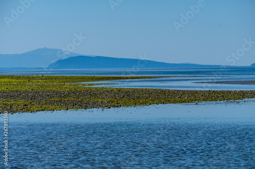 sandy beach on low tide covered with green algae by the ocean with mountain range over the horizon on a clear day