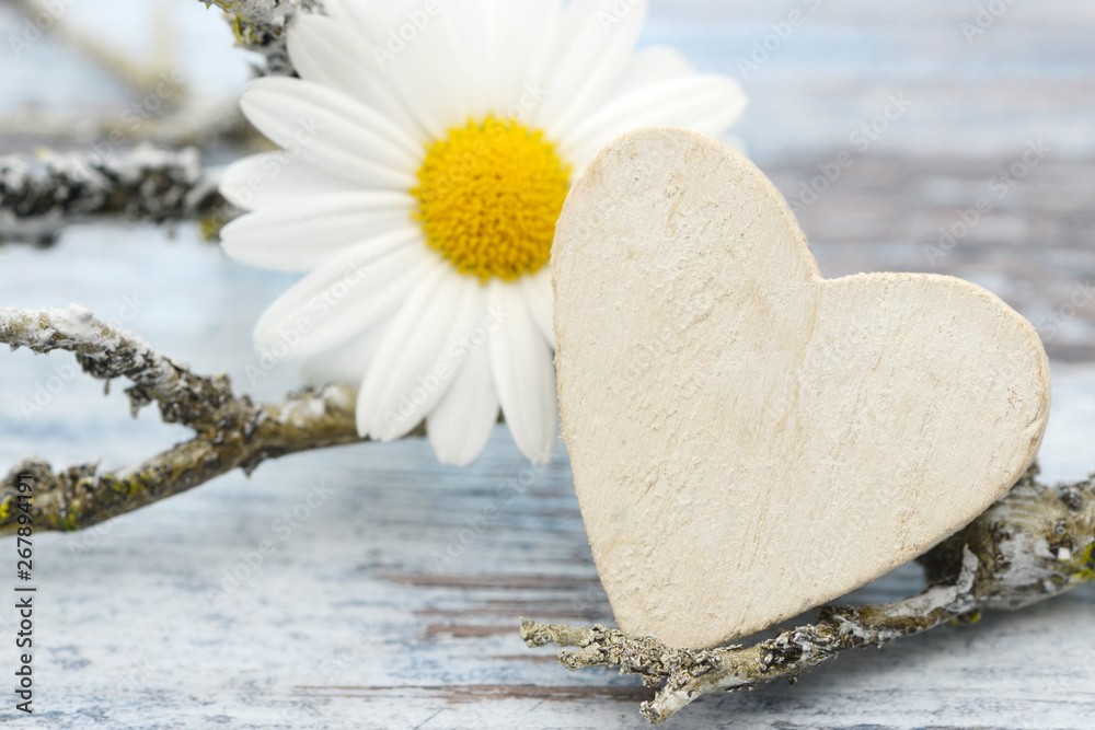 Obraz premium heart, white marguerite and branch lying on wood