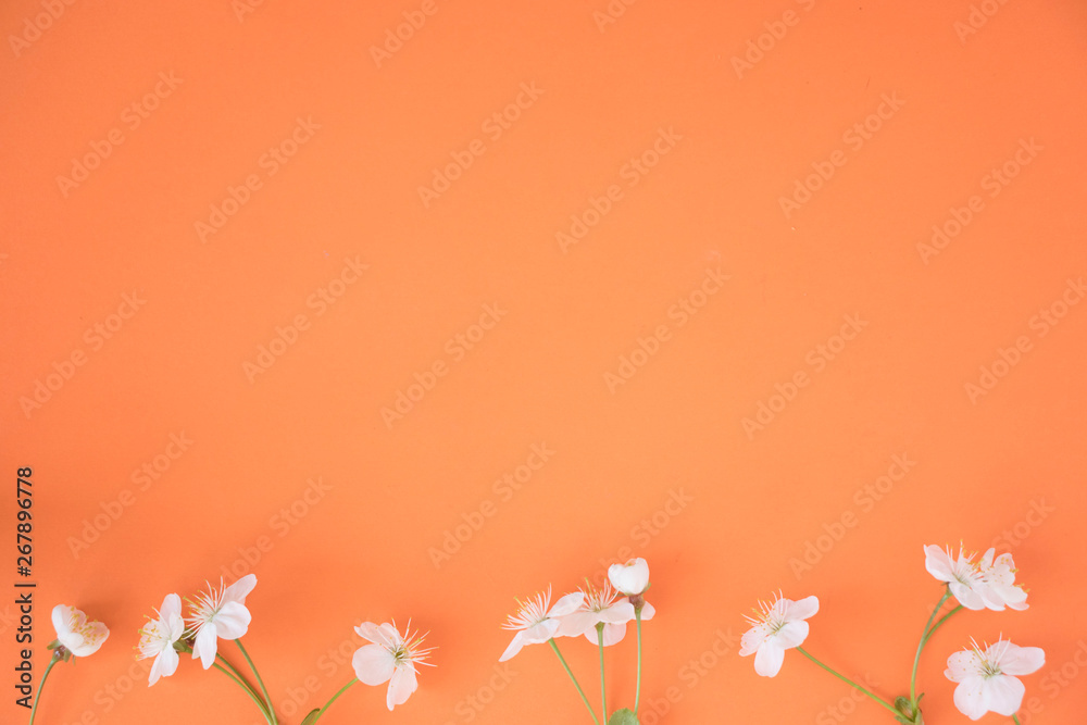 Naklejka premium beautiful summer flowers on top orange background, copy space, place for advertising or lettering