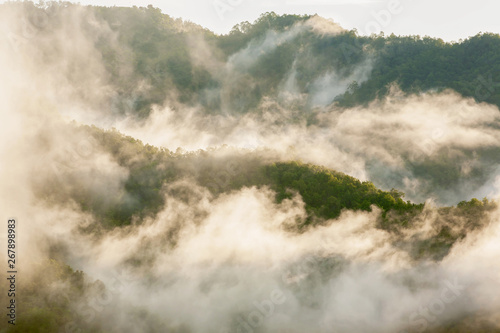 Abstract art of nature, gently mist dance with a mountain in morning light. Scenery tropical forest in rainy season. Wilderness of Thai-Myanmar border. © Tanes