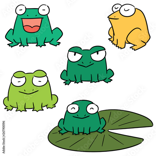 vector set of frog