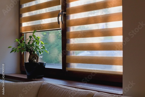 Quadro su tela Window roller, duo system day and night