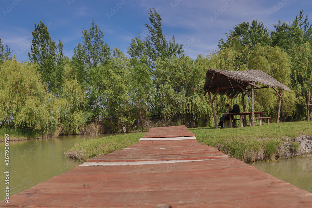 Fototapeta premium Small park at the lake with small wooden bridge
