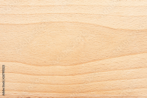 Elm wood texture detail background material