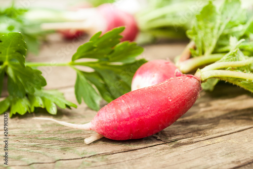 Ripe radish and parsley on a wooden background