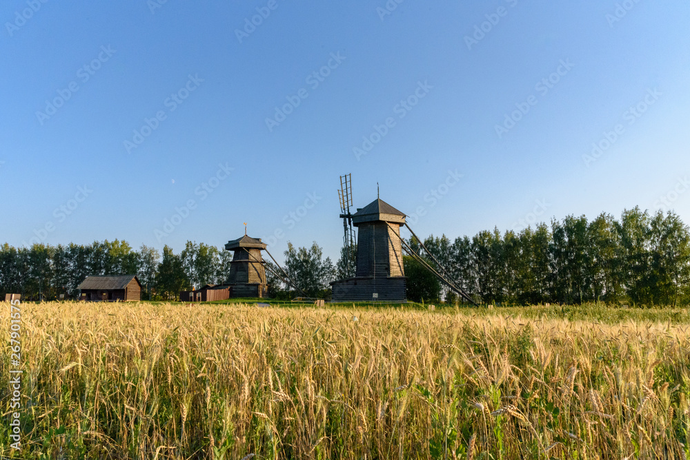 Fototapeta premium Rural landscape - windmills in the field. Russia