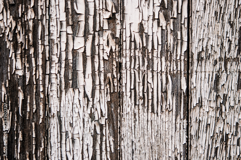 Weathered wood wall texture, perfect as a background Weathered wood wall texture, perfect as a background