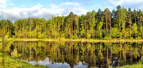 green forest and pond at city park on summer sunset light panorama landscape view of trees reflection on water of lake with people enjoying outdoor activity as fishing on beautiful nature background
