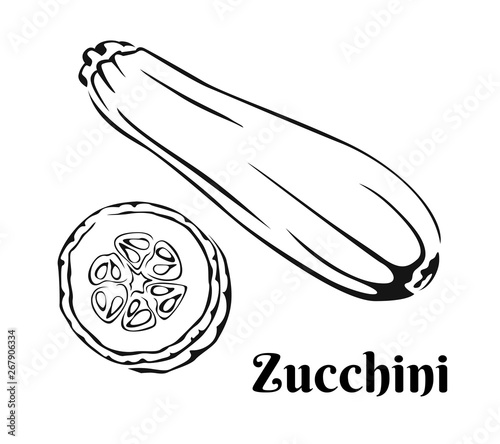 zucchini outline. Black and white icon of  whole vegetable and slice. Vector monochrome illustration.