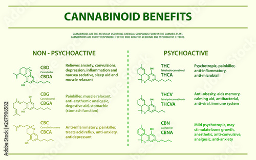 Cannabinoid Benefits horizontal infographic illustration about cannabis as herbal alternative medicine and chemical therapy, healthcare and medical science vector.