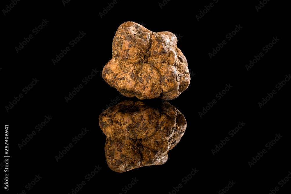 White truffle (tuber magnatum) on black.