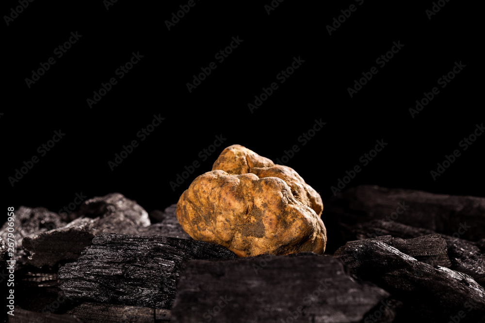 White truffle (tuber magnatum) on black. White truffle (tuber magnatum) on black.
