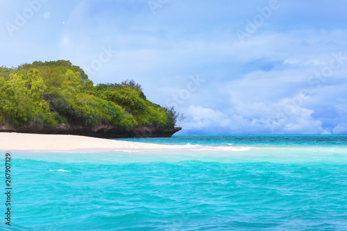 Fototapeta Naklejka Na Ścianę i Meble -  Tropical island and turquoise ocean.