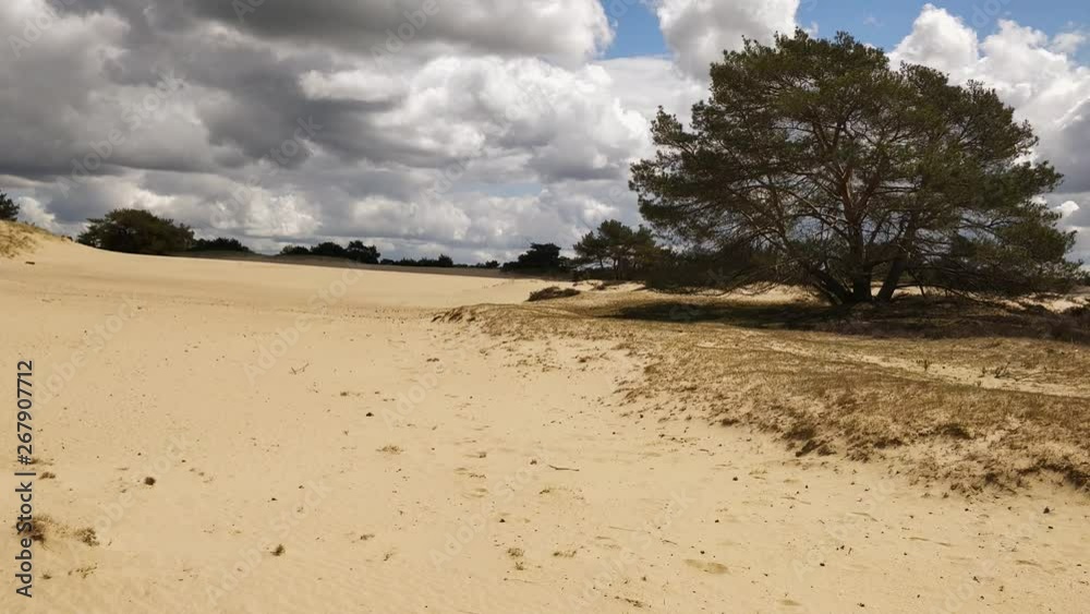 Erosion due to overgrazing with desertification as result
