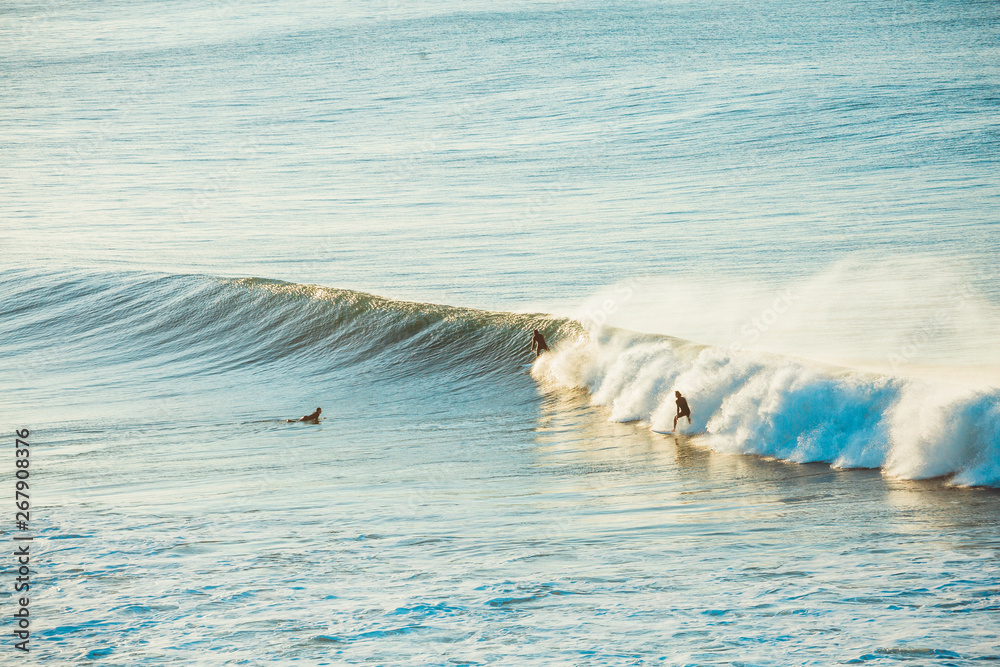 Naklejka premium Surfers and Waves at Bells Beach, Australia