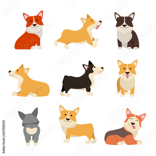 Cartoon Color Characters Welsh Corgi Set. Vector