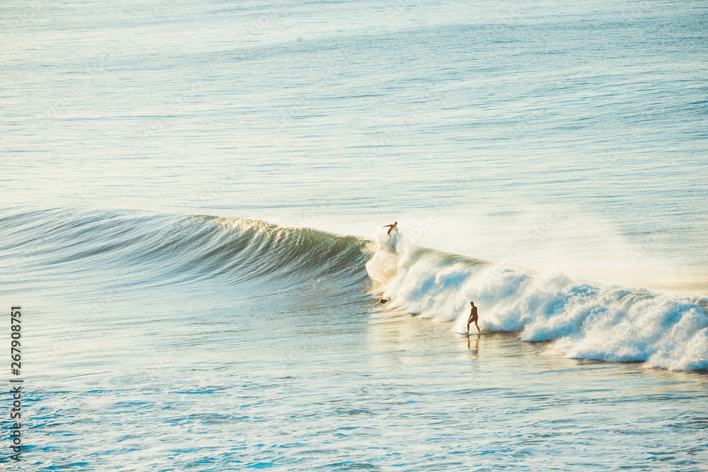 Fototapeta premium Surfers and Waves at Bells Beach, Australia