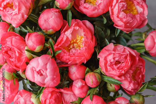 Fototapeta Naklejka Na Ścianę i Meble -  Coral peonies in a metal vase. Beautiful peony flower for catalog or online store. Floral shop concept . Beautiful fresh cut bouquet. Flowers delivery