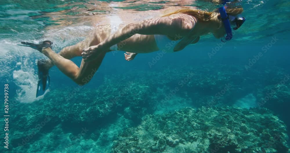 Attractive young woman snorkeling in tropical ocean paradise, summer holidays Attractive young woman snorkeling in tropical ocean paradise, summer holidays