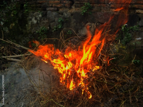 flames of fire when burning dry grass trash
