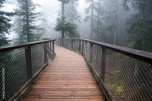 Baumwipfelpfad in bad wildbad im Schwarzwald 