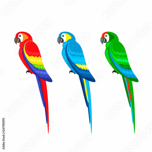 Set of colored parrots on a white background.