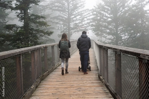 Baumwipfelpfad in bad wildbad im Schwarzwald 