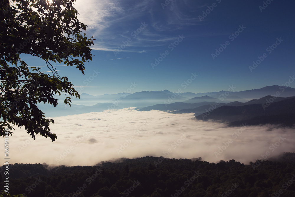 Early morning in the mountains. The view from the heights of the clouds and the Caucasus Mountains. Plateau Lago-Naki, Adygea, Russia.