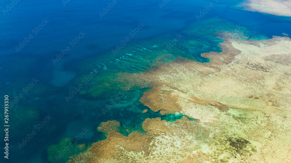 Texture of the seabed with coral reefs aerial view.Clear sea water in shallow water.