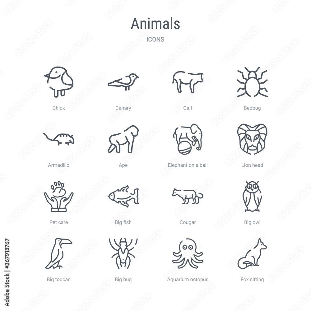 set of 16 animals concept vector line icons such as fox sitting, aquarium octopus, big bug, big toucan, big owl, cougar, fish, pet care. 64x64 thin stroke icons set of 16 animals concept vector line icons such as fox sitting, aquarium octopus, big bug, big toucan, big owl, cougar, fish, pet care. 64x64 thin stroke icons
