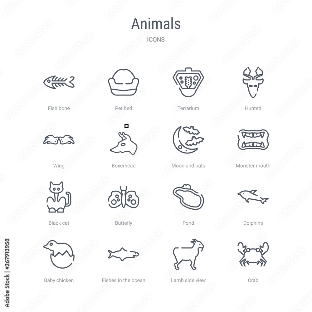 set of 16 animals concept vector line icons such as crab, lamb side view, fishes in the ocean, baby chicken, dolphins, pond, buttefly, black cat. 64x64 thin stroke icons