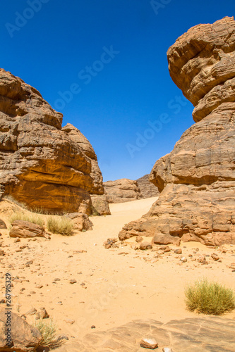 Sahara desert.  Sahara’s landscape.  Amazing sandstone rock formation  at  Tassili n’Ajjer National Park, Algeria.   © krysek