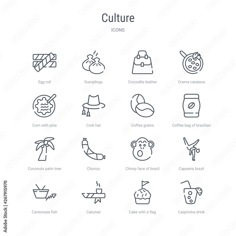 set of 16 culture concept vector line icons such as caipirinha drink glass of brazil, cake with a flag, calumet, cantonese fish, capoeira brazil dancers, chimp face of brazil, chorizo, coconuts palm