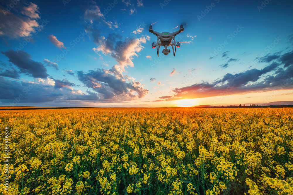 Flying drone over the rapeseed field and dramatic sunset clouds