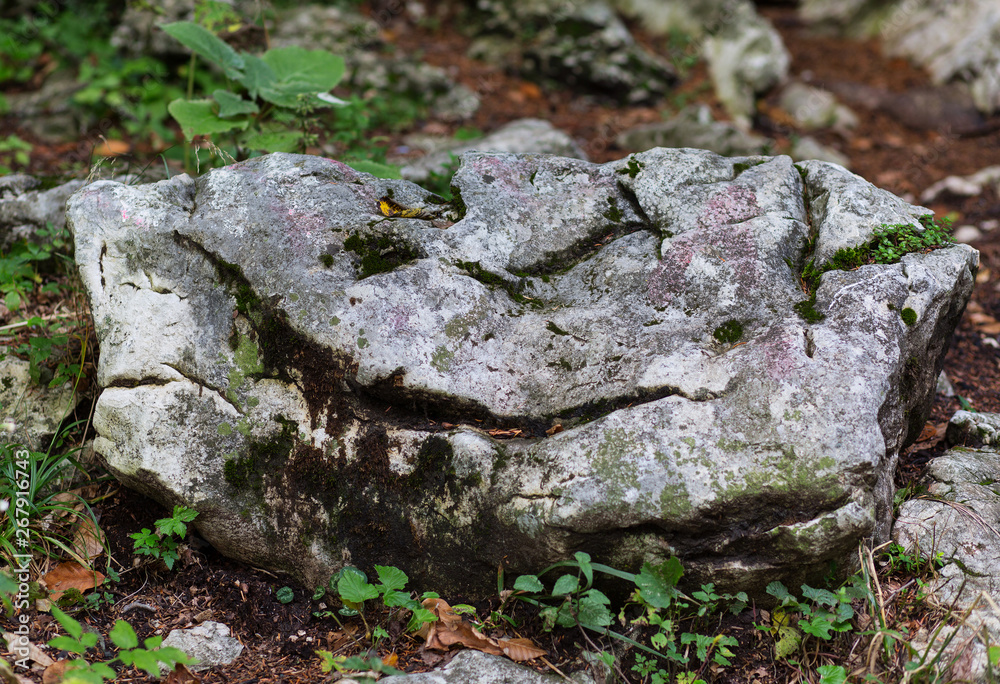 Stone with a grinning face in the mountains near the Lago-Naki Plateau in Adygea, Russia Stone with a grinning face in the mountains near the Lago-Naki Plateau in Adygea, Russia