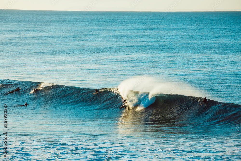 Fototapeta premium Surfers and Waves at Bells Beach, Australia
