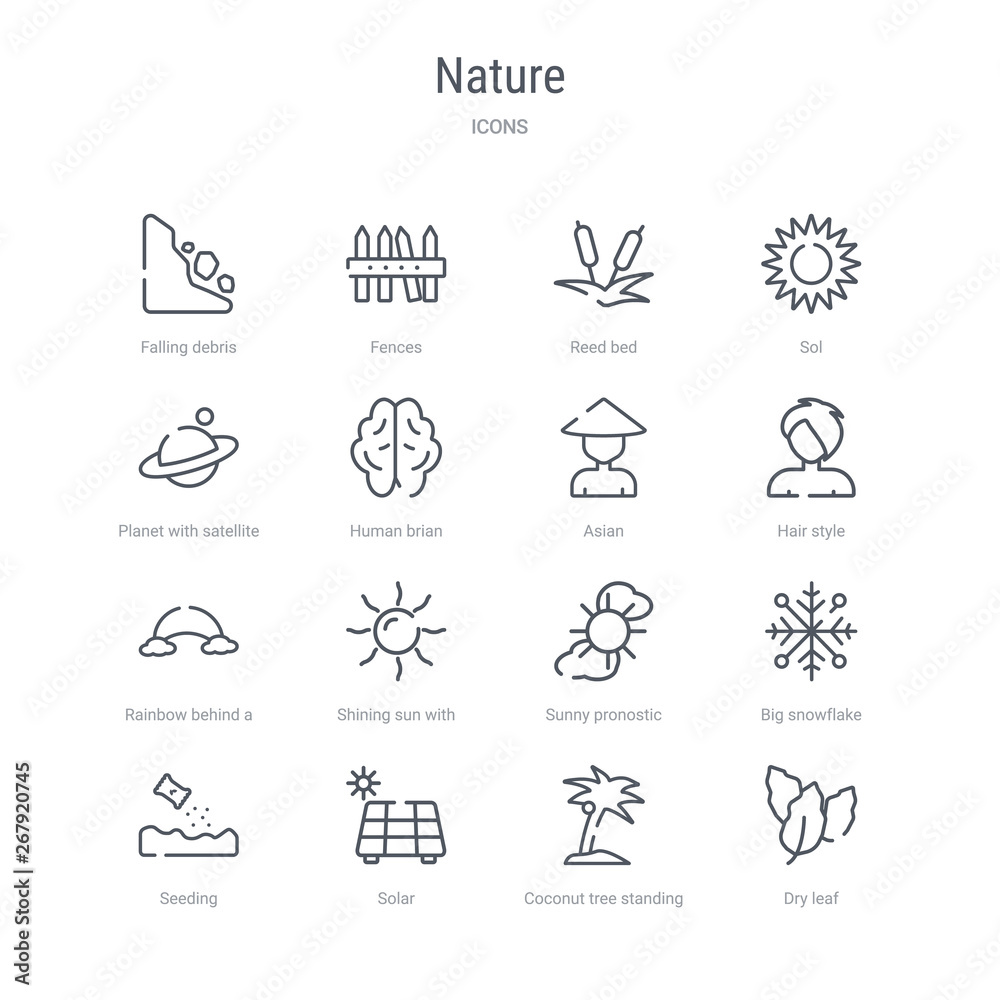 set of 16 nature concept vector line icons such as dry leaf, coconut tree standing, solar, seeding, big snowflake, sunny pronostic, shining sun with rays, rainbow behind a cloud. 64x64 thin stroke set of 16 nature concept vector line icons such as dry leaf, coconut tree standing, solar, seeding, big snowflake, sunny pronostic, shining sun with rays, rainbow behind a cloud. 64x64 thin stroke