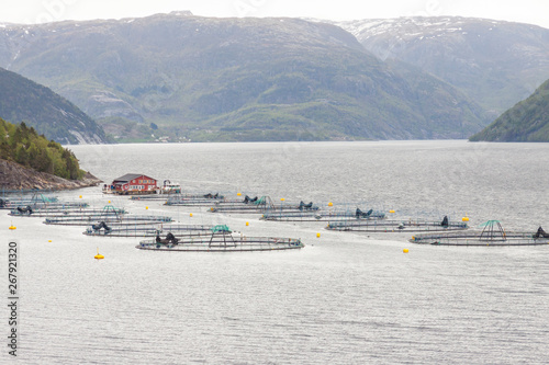 Fish farm - Norway