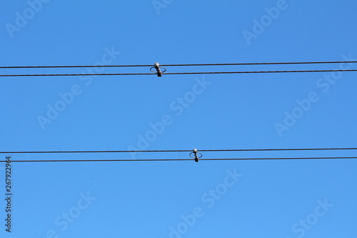 Power line utility black electrical wires held together with insulators and spacers on clear blue sky background