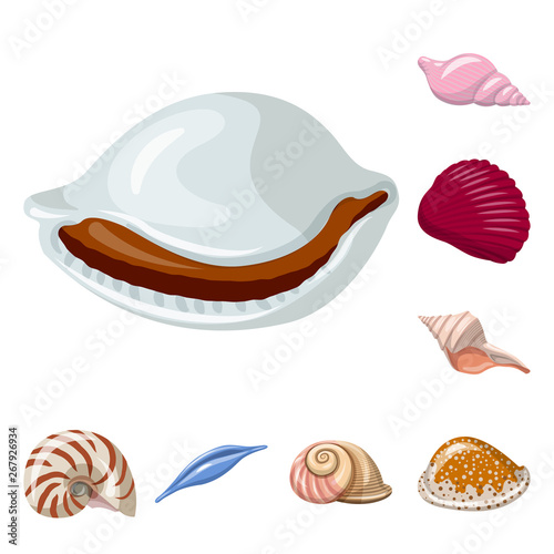Isolated object of seashell and mollusk icon. Set of seashell and seafood stock vector illustration.