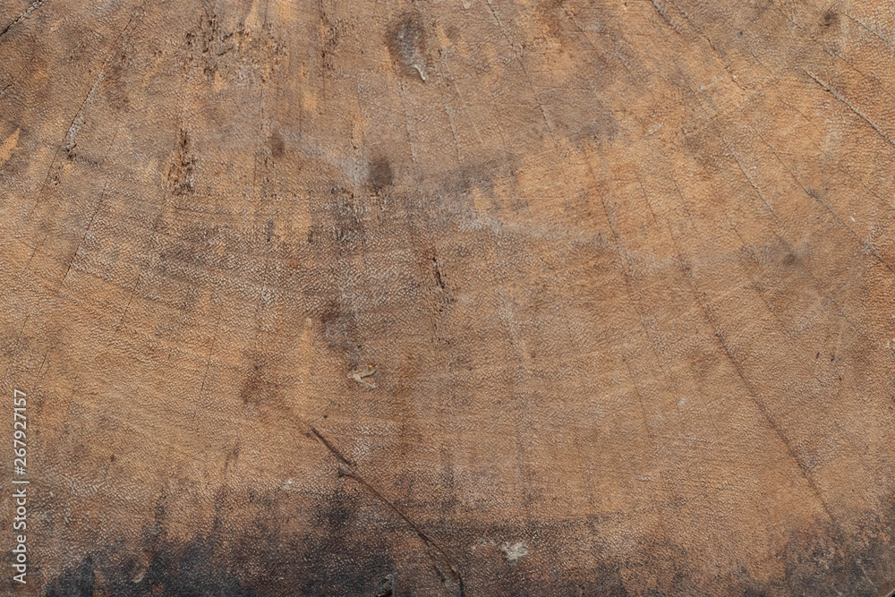 Naklejka premium Texture background Wooden stump
