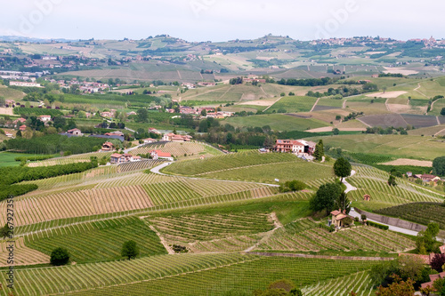 Langhe hills vineyards landscape  small villages. Viticulture in Barolo  Piedmont  Italy  Unesco heritage. Barolo  Nebbiolo  Dolcetto  Barbaresco red wine.