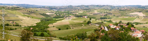 Panoramic landscape Langhe  vineyards. Springtime scene.  Viticulture in Barolo, Piedmont, Italy, Unesco heritage. Barolo, Nebbiolo, Barbera, Dolcetto, Barbaresco red wine. © Codegoni Daniele