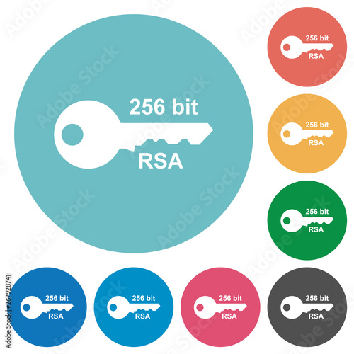 256 bit rsa encryption flat round icons