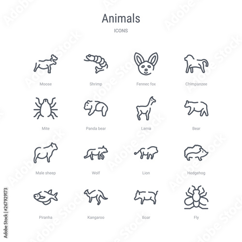 set of 16 animals concept vector line icons such as fly, boar, kangaroo, piranha, hedgehog, lion, wolf, male sheep. 64x64 thin stroke icons