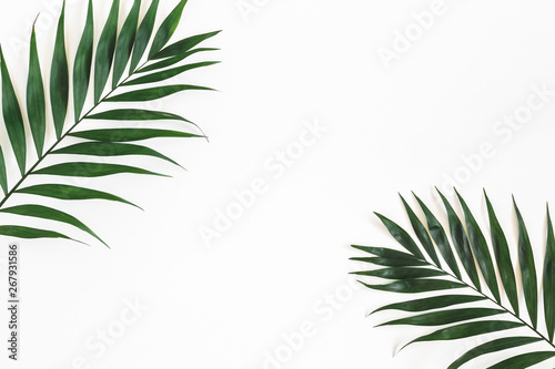 Tropical palm leaves on white background. Summer concept. Flat lay  top view  copy space