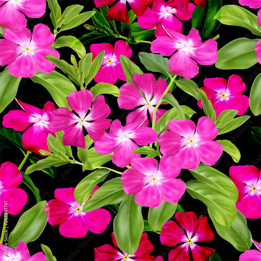 Tropical flower seamless pattern with vinca rosea-vector Tropical flower seamless pattern with vinca rosea-vector