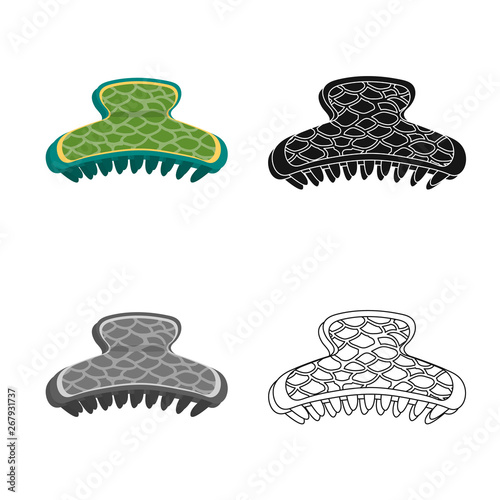 Vector illustration of comb and hairpins icon. Collection of comb and decoration stock symbol for web.