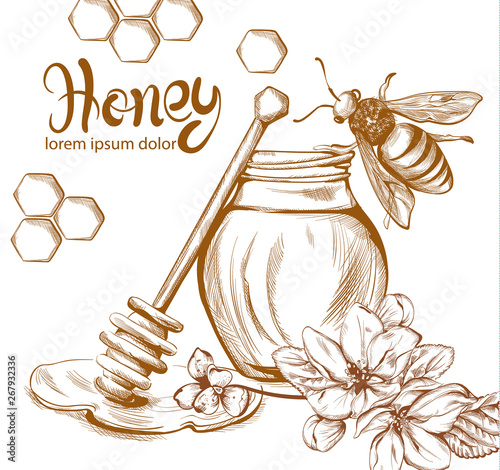 Honey, bees jar Vector line art Retro vintage old effect styles