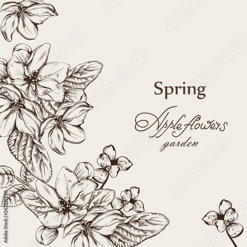 Vintage card with flowers Vector lineart. Narcissus, peony and roses old effe...